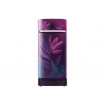Samsung 198L Digi-Touch Cool Single Door Refrigerator RR21A2F2X9R